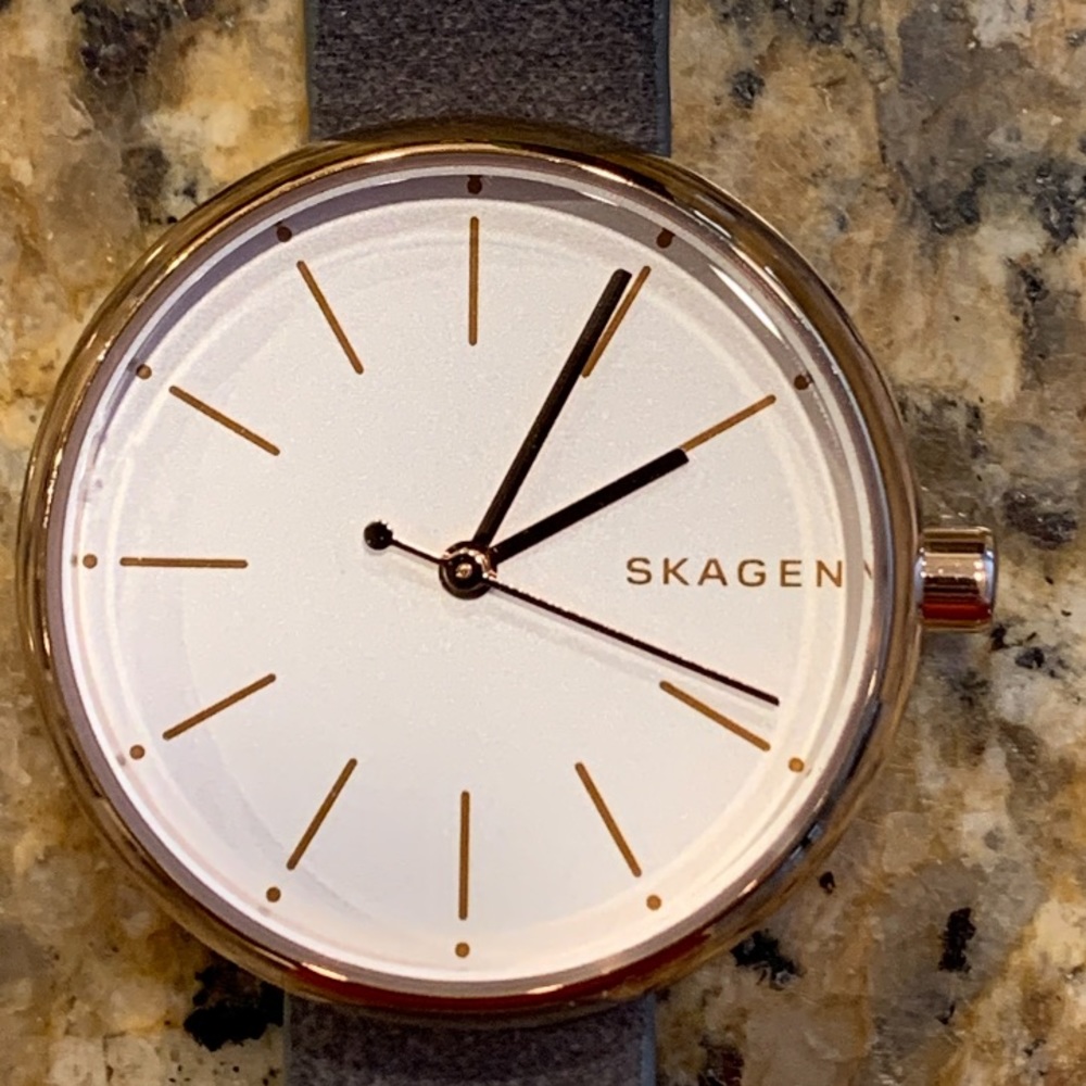 Skagen Signatur Rose Gold Color Watch